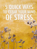 [DLB055] Self Improvement Ebook - 5 Quick Ways To Clear Your Mind of Stress