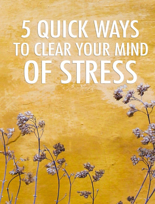 [DLB055] Self Improvement Ebook - 5 Quick Ways To Clear Your Mind of Stress